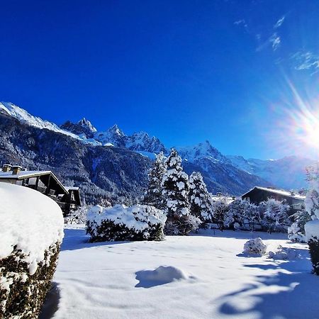Chamonix Appartement Vue Mont Blanc Avec Jardin ภายนอก รูปภาพ