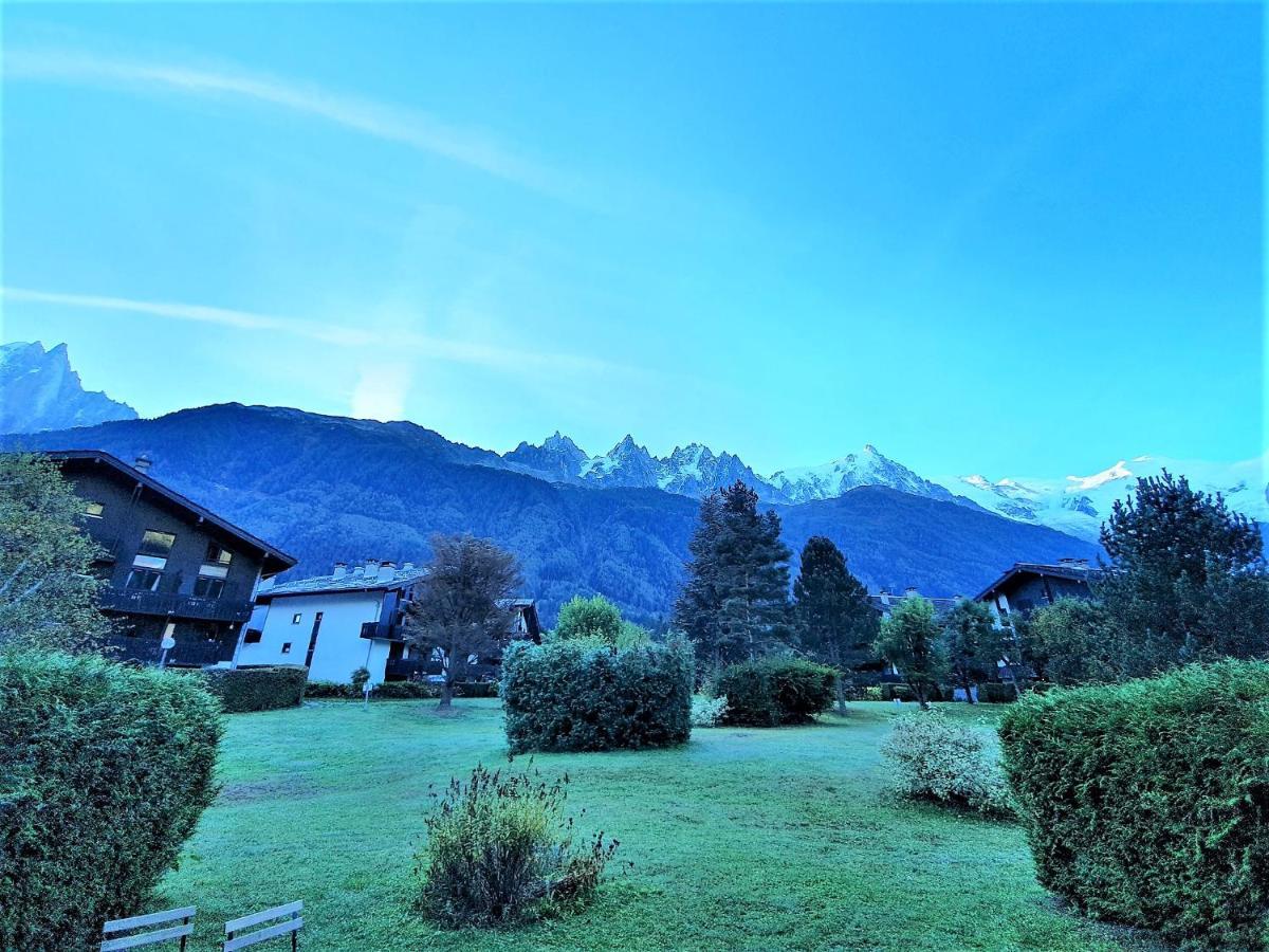 Chamonix Appartement Vue Mont Blanc Avec Jardin ภายนอก รูปภาพ
