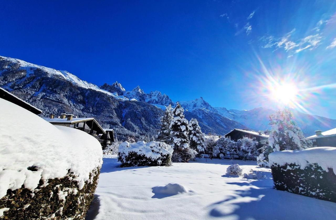 Chamonix Appartement Vue Mont Blanc Avec Jardin ภายนอก รูปภาพ