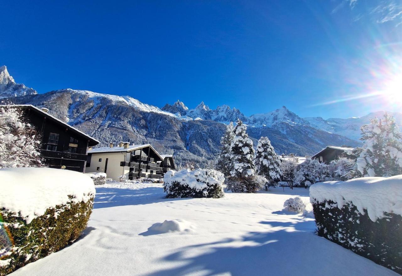 Chamonix Appartement Vue Mont Blanc Avec Jardin ภายนอก รูปภาพ